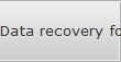 Data recovery for Cape Coral data